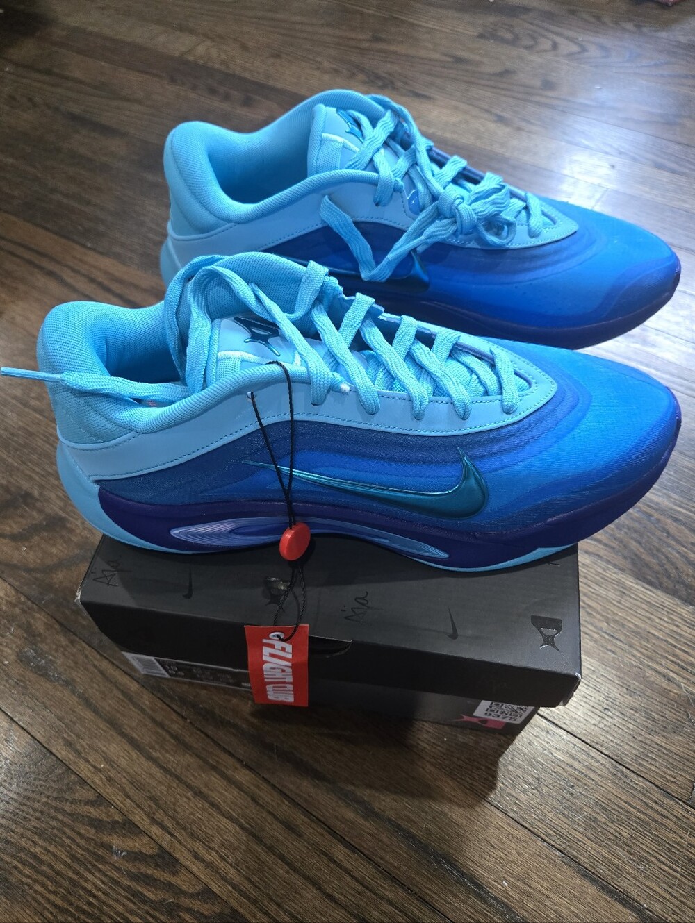 Nike A'ja Wilson A'One Indigo Girl Basketball Shoes Blue Women's 10 NIB
